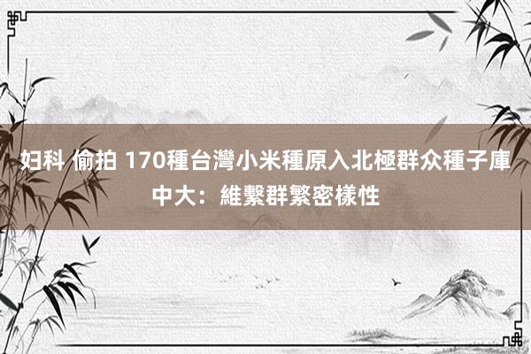 妇科 偷拍 170種台灣小米種原入北極群众種子庫　中大：維繫群繁密樣性