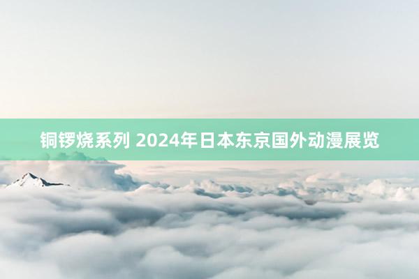 铜锣烧系列 2024年日本东京国外动漫展览